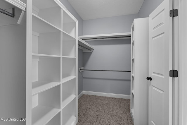 walk in closet with carpet floors