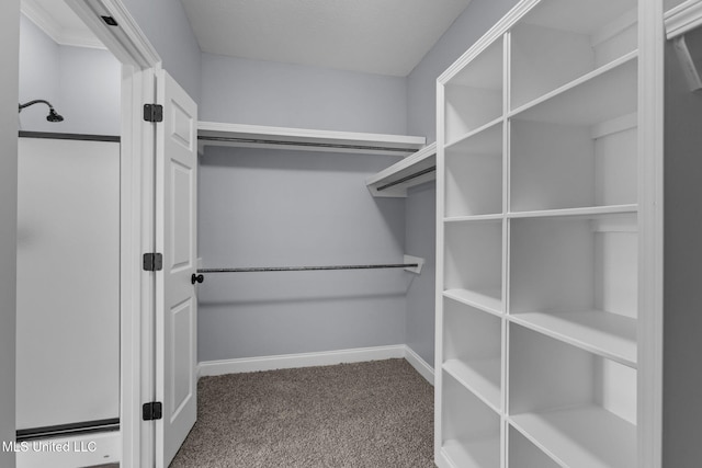 spacious closet with carpet floors