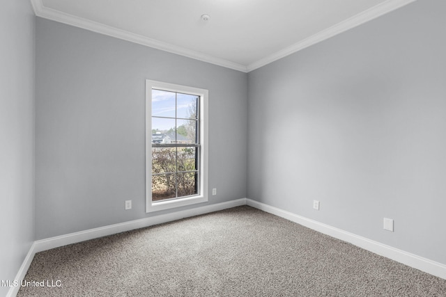 spare room featuring carpet flooring, crown molding, and baseboards