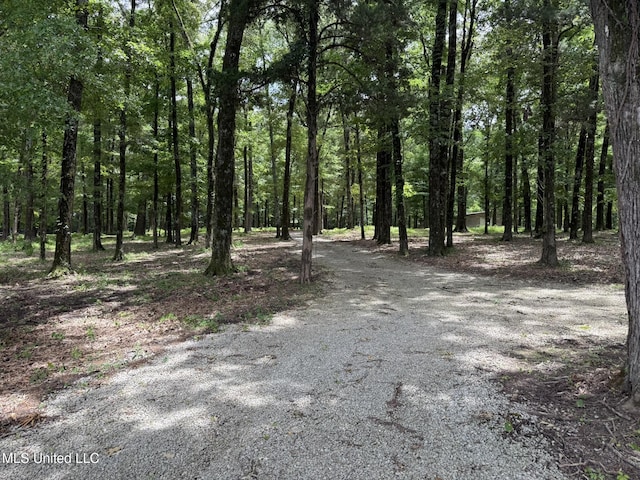190 Sanctuary Cir, Canton, MS 39046