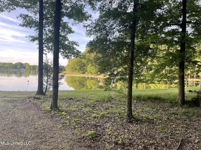 190 Sanctuary Cir, Canton, MS 39046