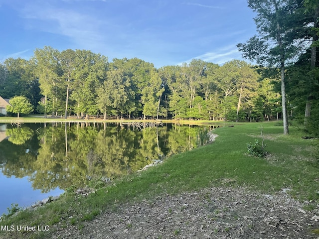 190 Sanctuary Cir, Canton, MS 39046