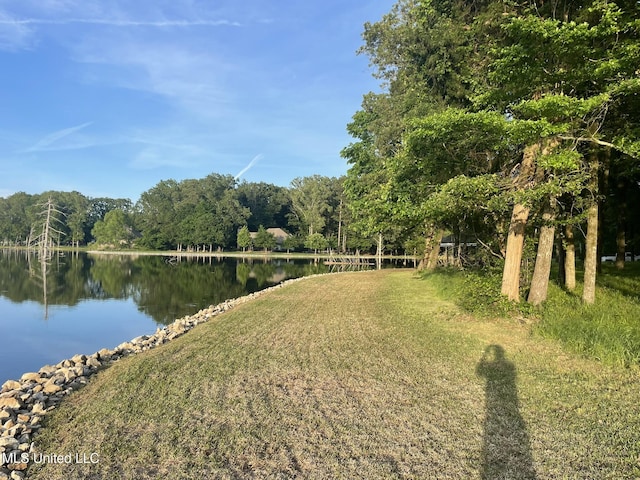 190 Sanctuary Cir, Canton, MS 39046