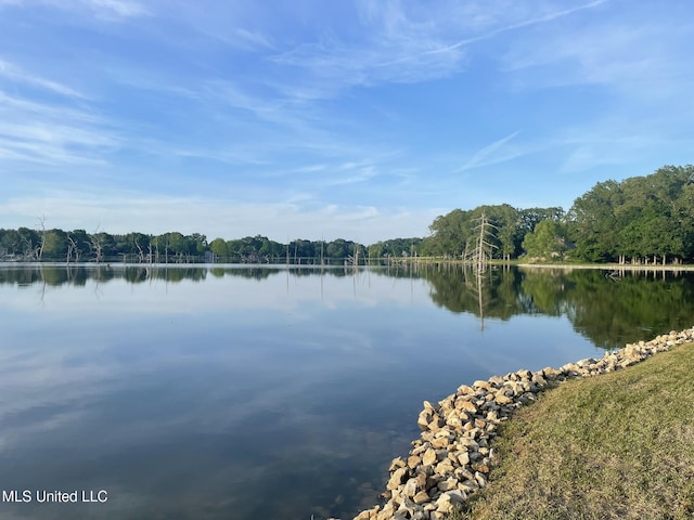 190 Sanctuary Cir, Canton, MS 39046