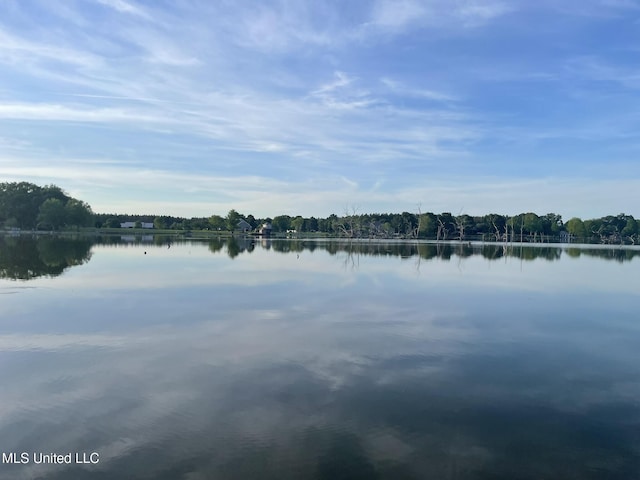 190 Sanctuary Cir, Canton, MS 39046