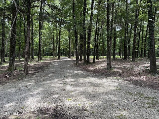 190 Sanctuary Cir, Canton, MS 39046