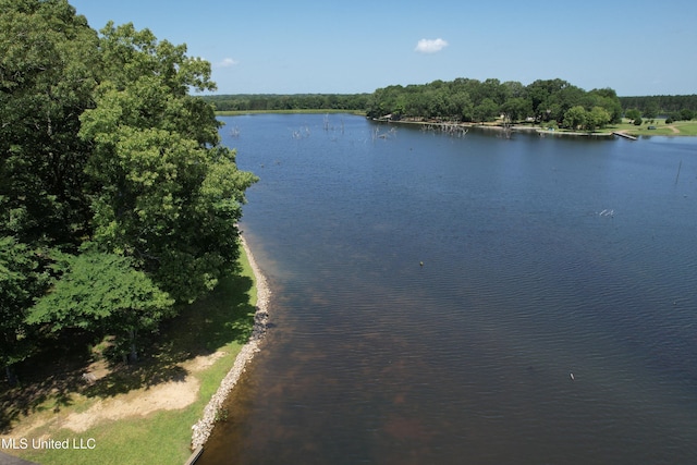 190 Sanctuary Cir, Canton, MS 39046