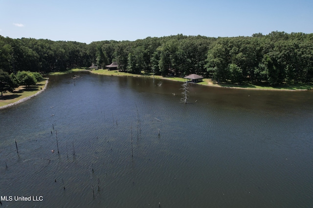190 Sanctuary Cir, Canton, MS 39046