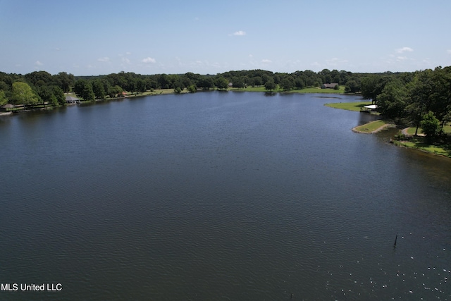 190 Sanctuary Cir, Canton, MS 39046