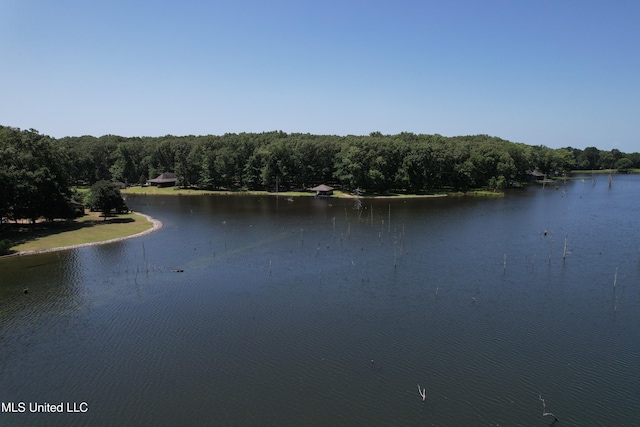 190 Sanctuary Cir, Canton, MS 39046