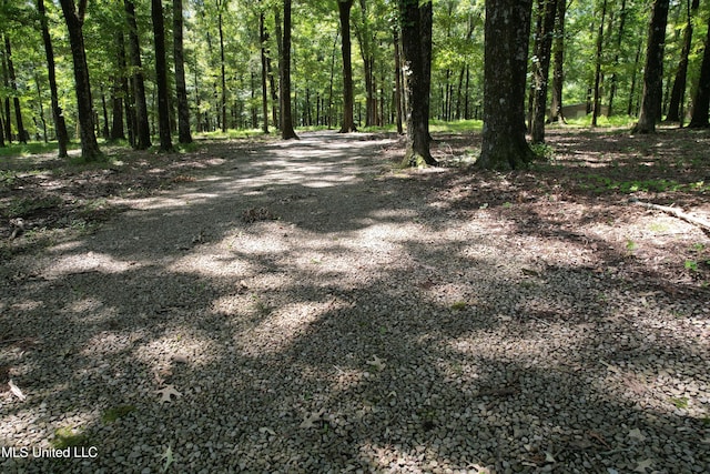 190 Sanctuary Cir, Canton, MS 39046