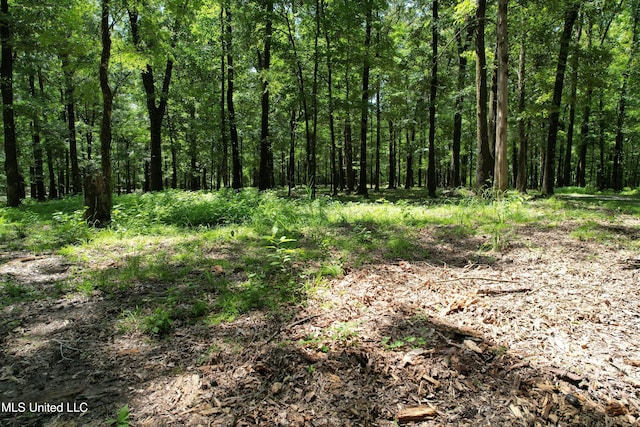 190 Sanctuary Cir, Canton, MS 39046