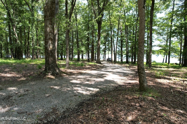 190 Sanctuary Cir, Canton, MS 39046