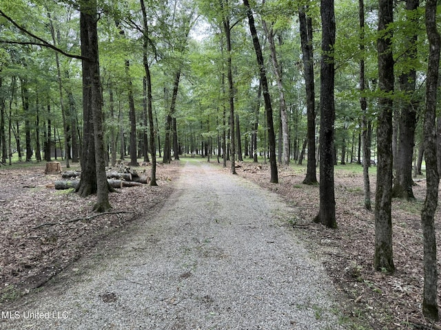190 Sanctuary Cir, Canton, MS 39046