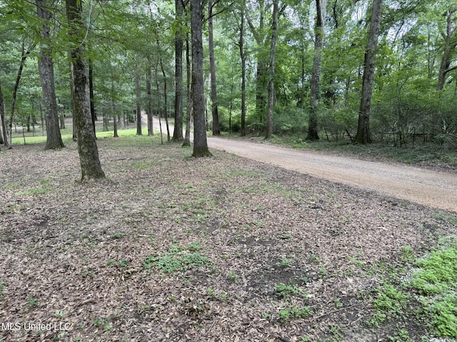 190 Sanctuary Cir, Canton, MS 39046