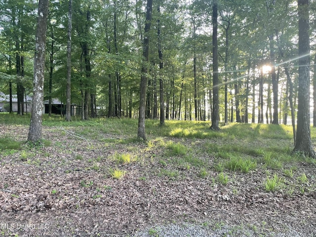 190 Sanctuary Cir, Canton, MS 39046