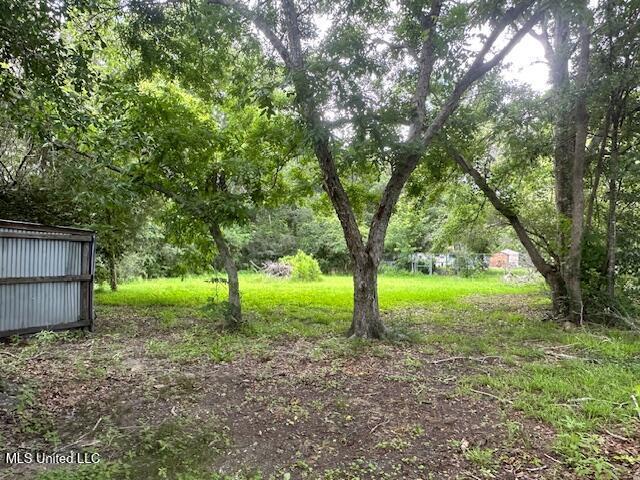 11196 Dewey Lawrence Cir, Diberville, MS 39540 - view of yard