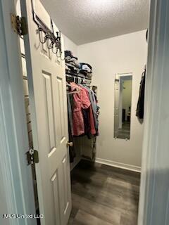 spacious closet with dark hardwood / wood-style flooring