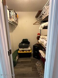 walk in closet featuring dark hardwood / wood-style flooring