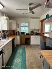 kitchen featuring white cabinets, ceiling fan, and a healthy amount of sunlight