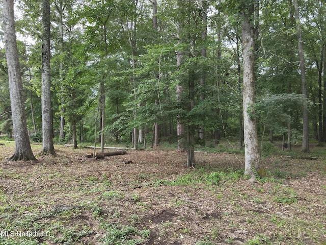 177 Robbins Rd, Brandon, MS 39042 - view of tree filled area