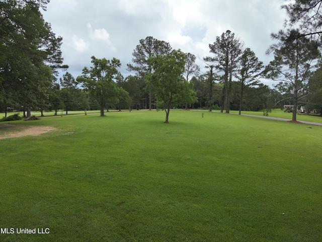 177 Robbins Rd, Brandon, MS 39042 - surrounding community with a lawn