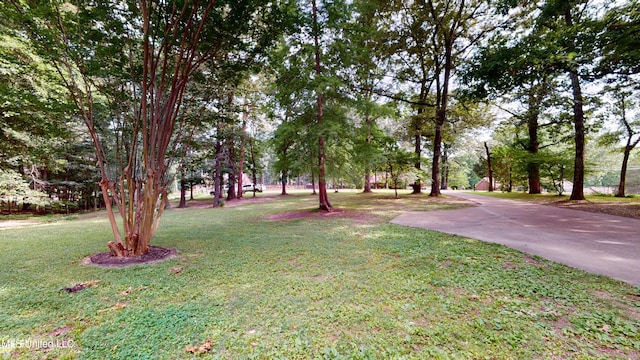 3902 S Windermere Dr, Nesbit, MS 38651 - view of grassy yard
