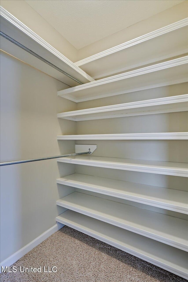 view of spacious closet