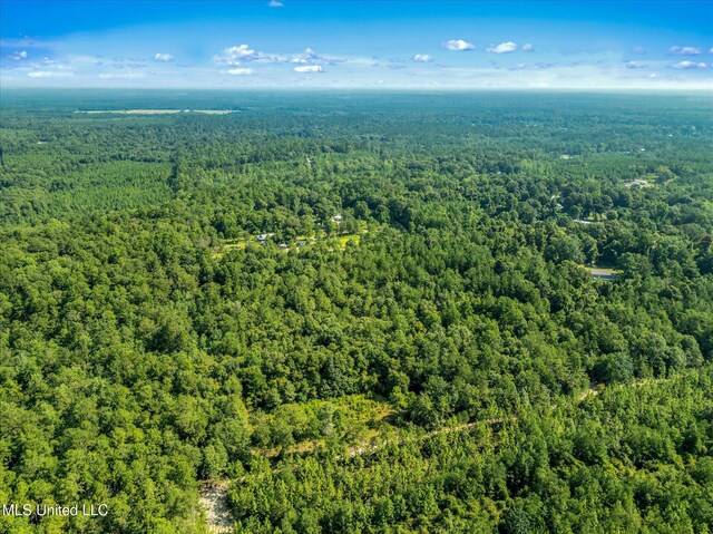 Forest Lake Rd, Beaumont, MS 39423