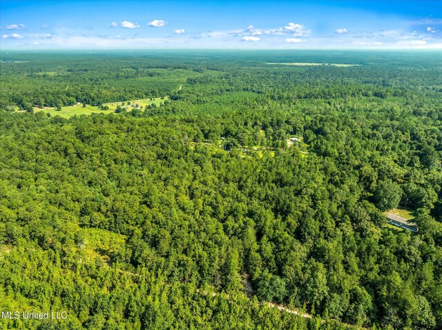 Forest Lake Rd, Beaumont, MS 39423