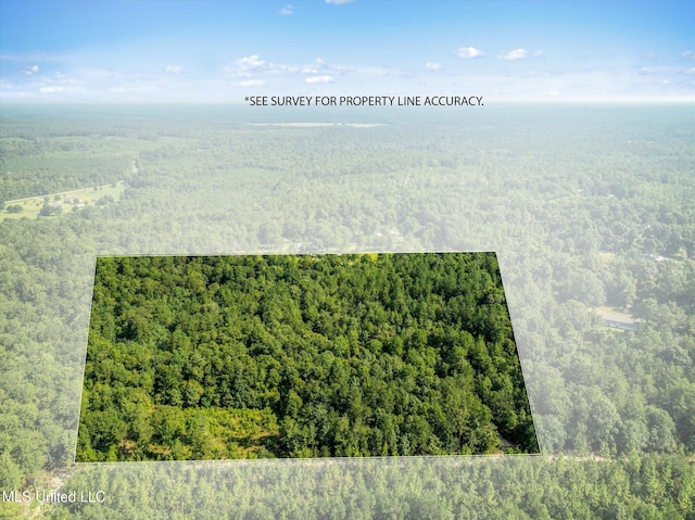 Forest Lake Rd, Beaumont, MS 39423