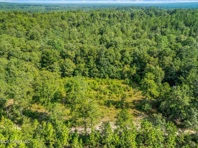 Forest Lake Rd, Beaumont, MS 39423