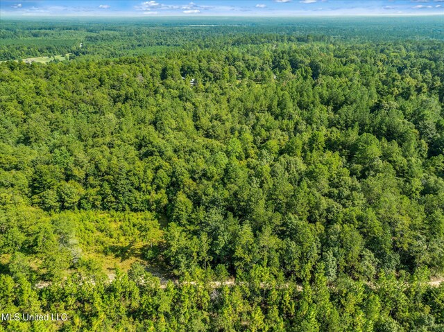 Forest Lake Rd, Beaumont, MS 39423