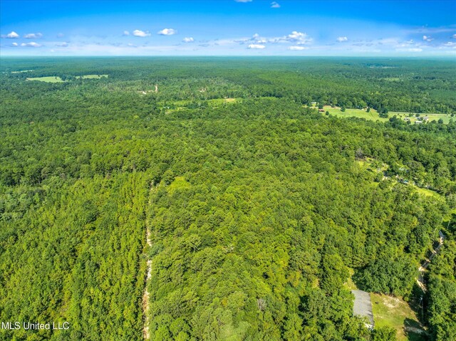Forest Lake Rd, Beaumont, MS 39423
