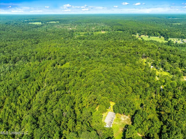 Forest Lake Rd, Beaumont, MS 39423