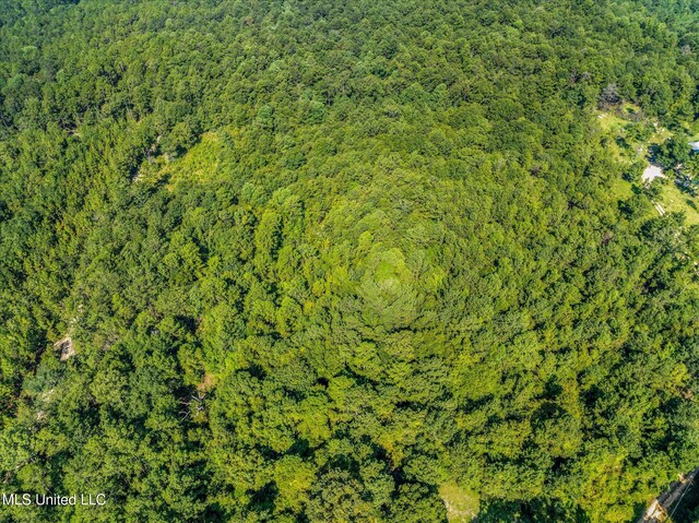 Forest Lake Rd, Beaumont, MS 39423