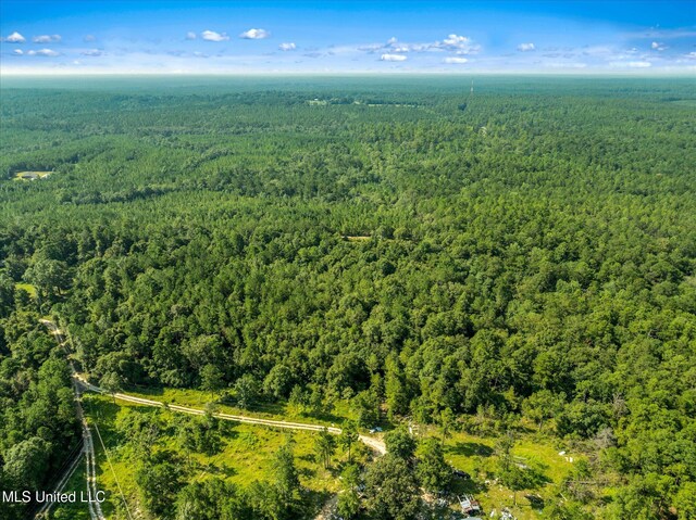 Forest Lake Rd, Beaumont, MS 39423
