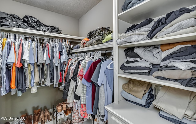 513 Willow Valley Cir, Brandon, MS 39047 - view of walk in closet