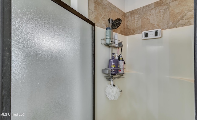 513 Willow Valley Cir, Brandon, MS 39047 - bathroom view of a stall shower