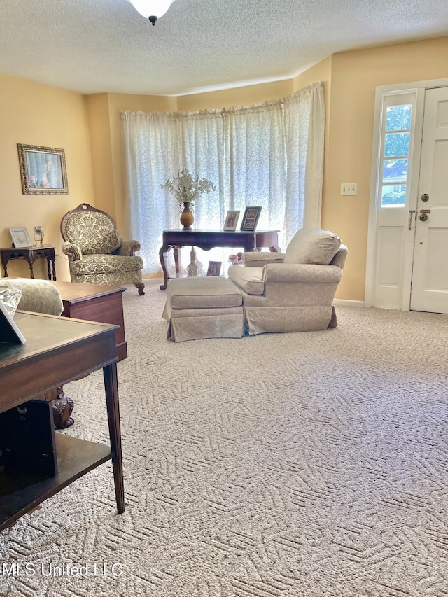 302 Mulberry Ln, Quitman, MS 39355 - living room featuring carpet flooring and a textured ceiling