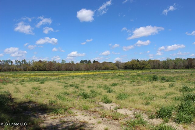 37.9ACRES Ceres Farm Rd, Lucedale, MS 39452