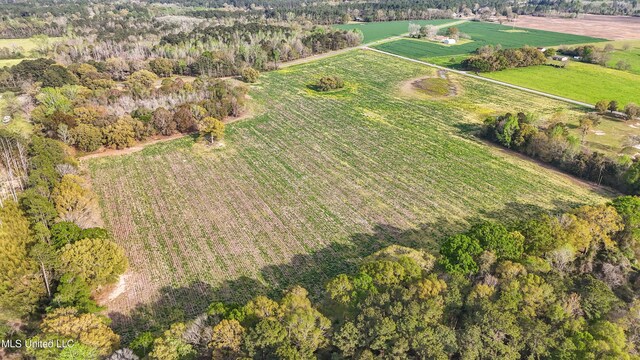 37.9ACRES Ceres Farm Rd, Lucedale, MS 39452