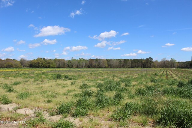 37.9ACRES Ceres Farm Rd, Lucedale, MS 39452