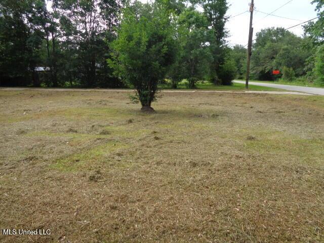 6301 Pioneer Trl, Moss Point, MS 39562 - view of yard
