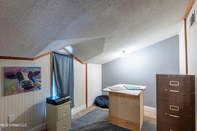 211 Traceway Dr, Natchez, MS 39120 - bonus room featuring lofted ceiling, a textured ceiling, and carpet flooring