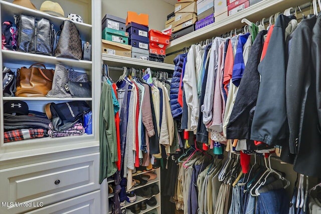 view of spacious closet