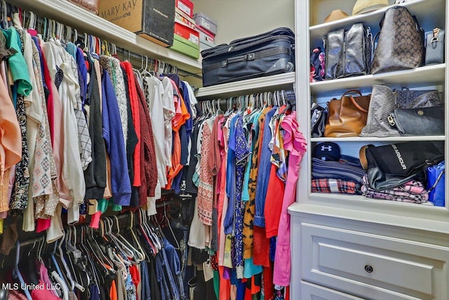 view of walk in closet