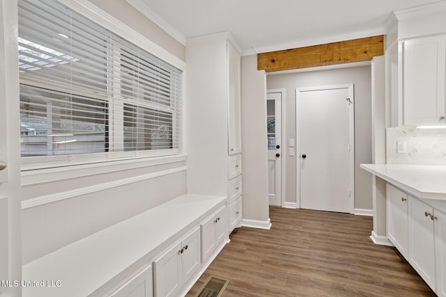 mudroom featuring crown molding and dark hardwood / wood-style floors