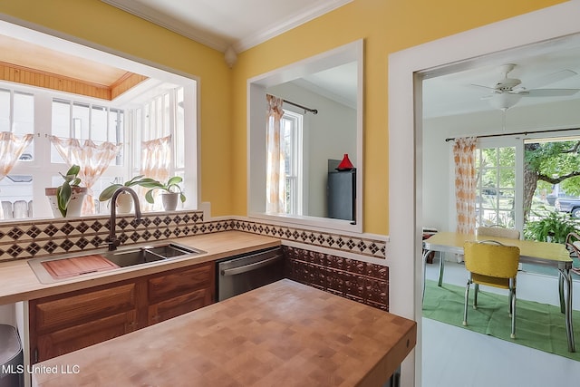 kitchen with sink, crown molding, a wealth of natural light, and stainless steel dishwasher