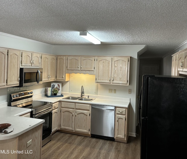 kitchen featuring appliances with stainless steel finishes, a sink, ornamental molding, a textured ceiling, and light countertops